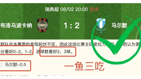 挪超焦点：罗森博格中坚球员伤停，维京战欧冠资格赛恐受影响