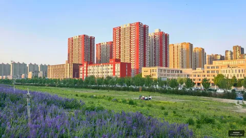 玩具评测大真人百家乐：2026年度玩具排行，你绝对不能错过的精彩